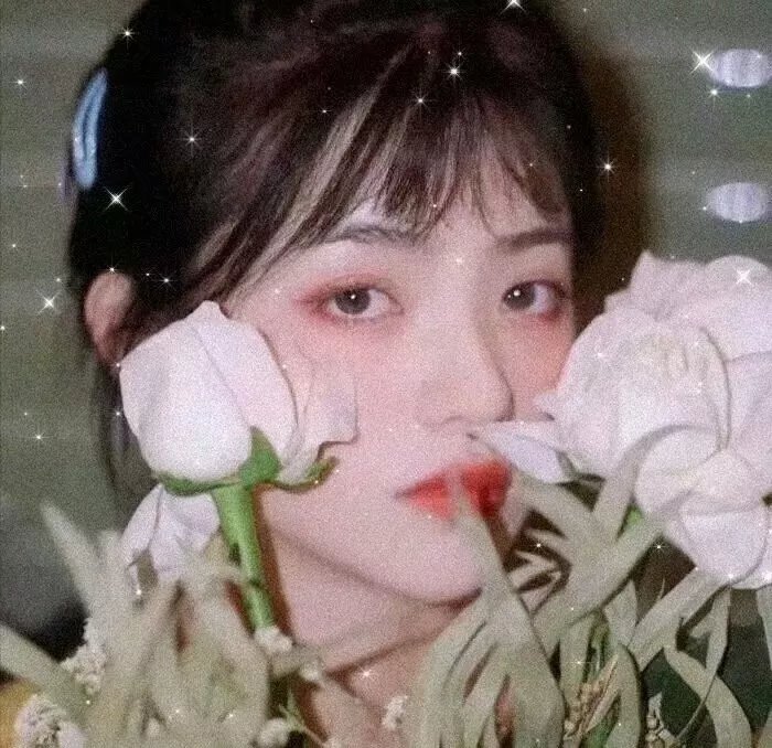 狐狸新娘星